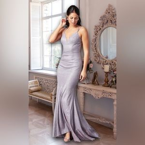 NWT PromGirl prom dress